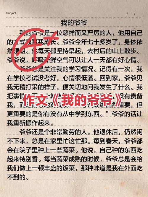 我的爷爷作文初中400