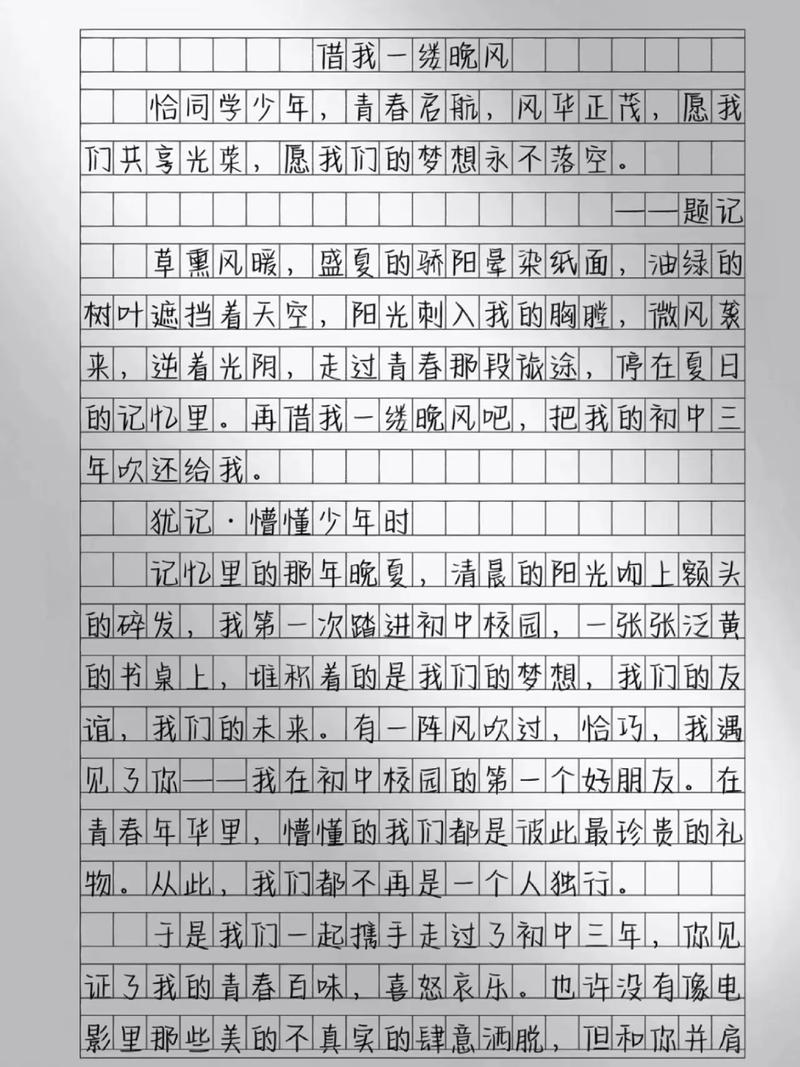 我在 遇见你初中作文