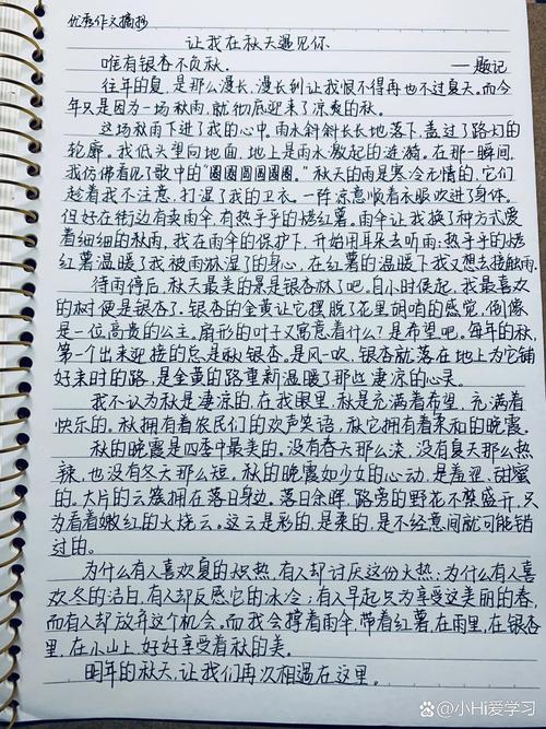 我在 遇见你初中作文