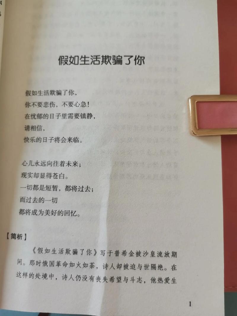 假如生活欺骗了你 初中