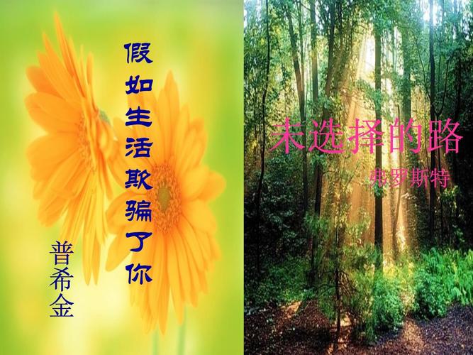 假如生活欺骗了你 初中