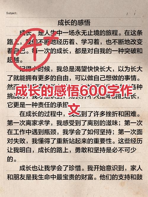 小学初中的感悟作文大全