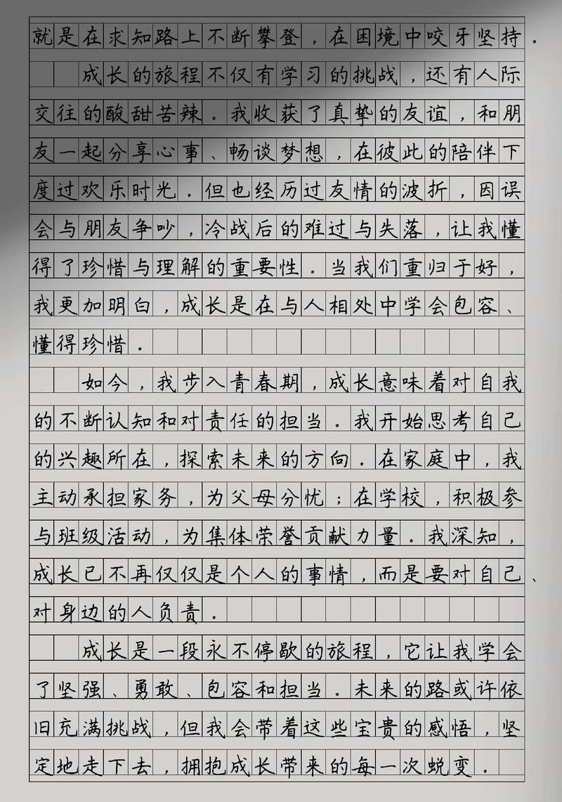 小学初中的感悟作文大全
