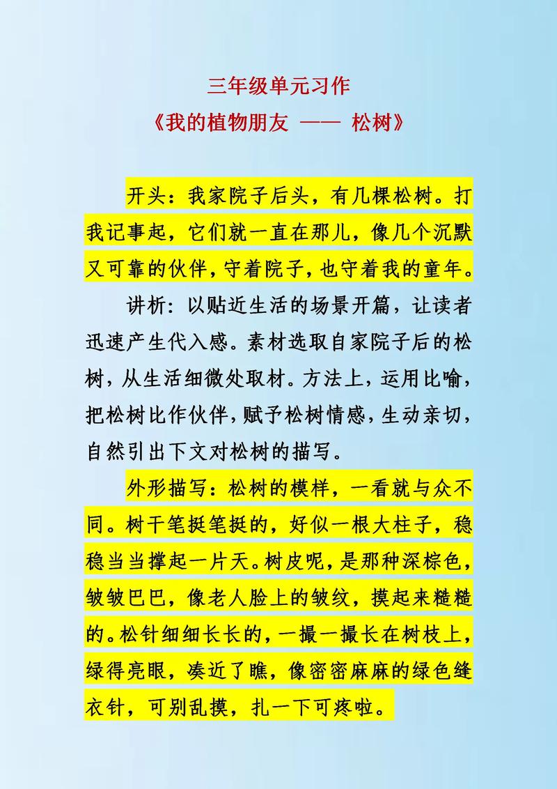 松树赞作文500字初中